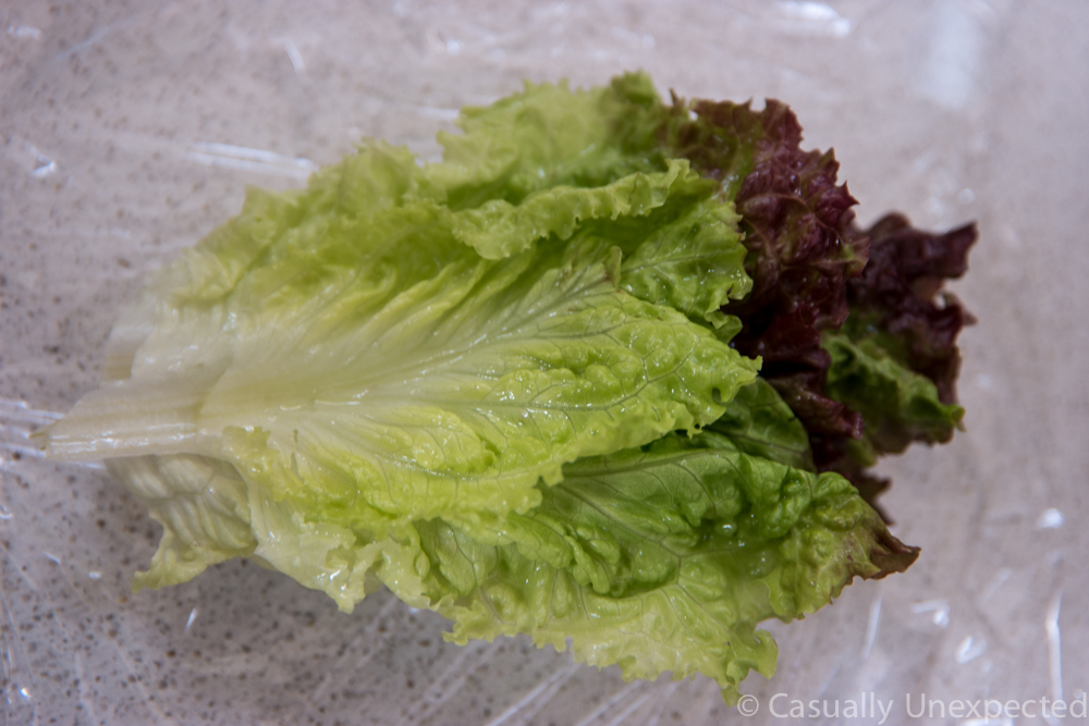 Lettuce_greens3
