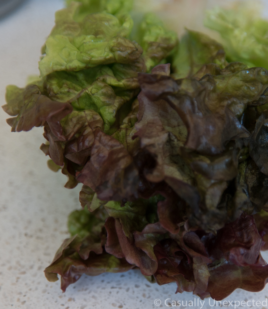Lettuce_greens5